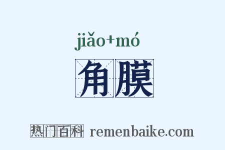 角膜是什么意思的图片